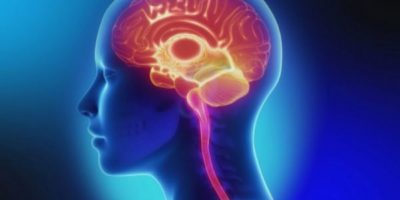 Si possono predire gli sviluppi di Parkinson e ...