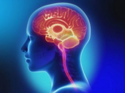 Si possono predire gli sviluppi di Parkinson e Alzheimer