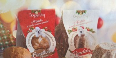 Il “canettone” e il “candoro&...