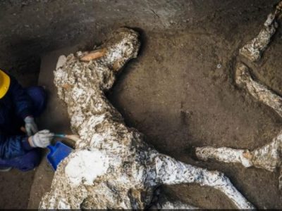 Eccezionale scoperta a Pompei, ritrovato il sauro bardato di un generale
