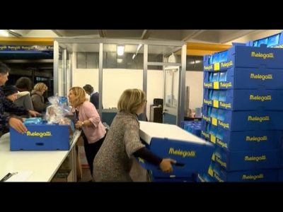 Il pandoro Melegatti dopo 124 anni inizia una seconda vita