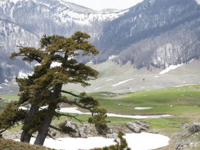 Alla scoperta del Parco del Pollino, l’area protetta più grande d’Italia
