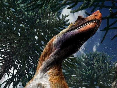 Saltriovenator, è italiano il più antico dinosauro esistito