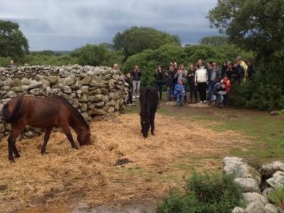 Terreni incolti ai giovani per creare lavoro in Sardegna