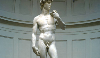 Il David multa chi lo usa per commercio e crea ...