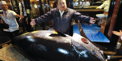 Tonno da 3 milioni, se lo aggiudica il re del s...