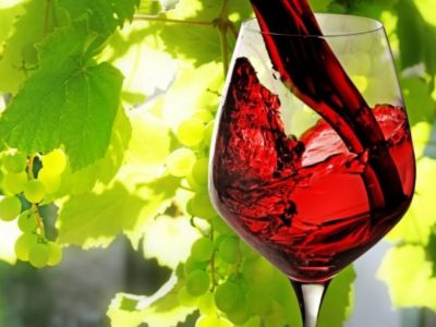 Vino in cifre, un nuovo annuario con tutti i numeri del settore
