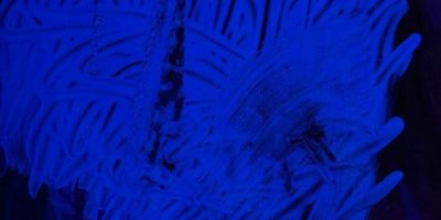 Accademia Brera, omaggio   al maestro Italo Bre...