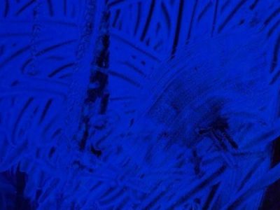 Accademia Brera, omaggio   al maestro Italo Bressan