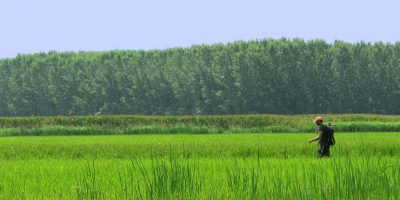 Antica Via Francigena candidata a diventare pat...