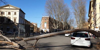 Roma, albero cade su tre auto in centro: due fe...