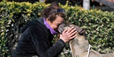 Sepoltura congiunta di animali e padroni: il sì...