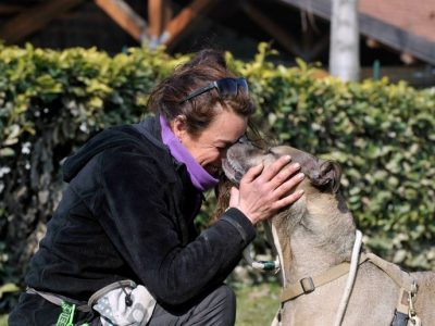 Sepoltura congiunta di animali e padroni: il sì della Lombardia