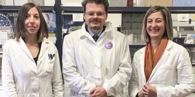 Una molecola nell’intestino degli squali ...