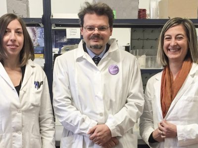 Una molecola nell’intestino degli squali potrebbe combattere l’Alzheimer