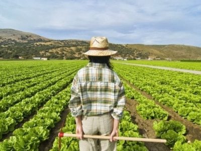 Debutta a Parigi “Vazapp”,  il format d’ascolto dei giovani agricoltori pugliesi