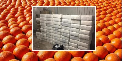 Una tonnellata e 250 chili di hashish nascosti ...