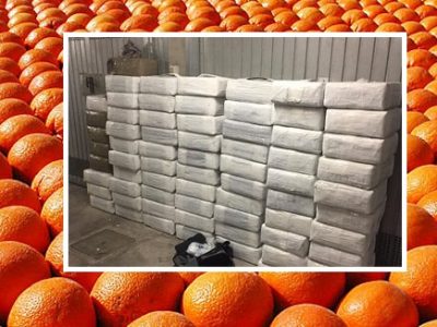 Una tonnellata e 250 chili di hashish nascosti fra cipolle e arance