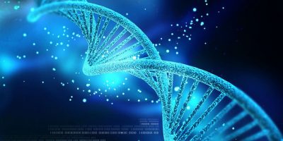 Un nuovo super Dna permetterà di riconoscere fo...