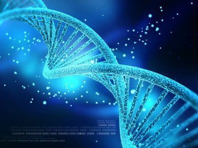 Un nuovo super Dna permetterà di riconoscere forme e dati di vita aliena