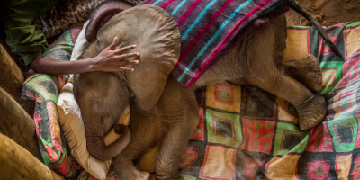 A Torino la prestigiosa esposizione World Press...