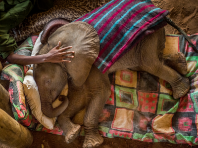 A Torino la prestigiosa esposizione World Press Photo