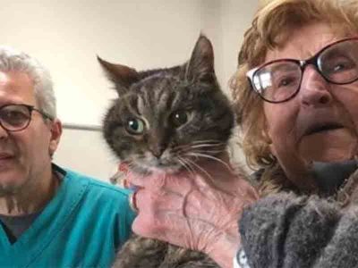 E’ Gina gattina trentenne a detenere il Guinnes dei primati