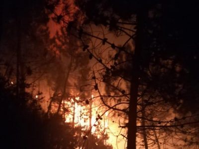 Nel 2019 centinaia di ettari  di boschi andati in fiamme