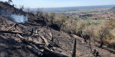 Dopo l’incendio, sui Monti Pisani tornera...