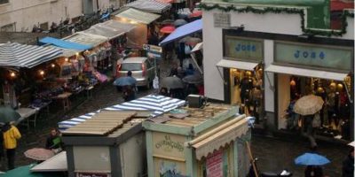 Blatte nell’Ospedale Vecchio Pellegrini. ...