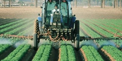 “Nasi” chimici per fiutare a distan...