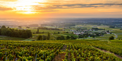 Chianti, sulla vendemmia 2021 pesa l’inco...