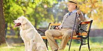 Terza età, possedere un animale ringiovanisce d...