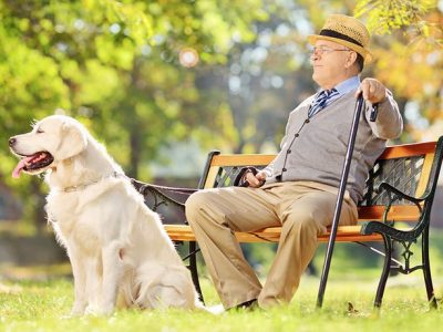 Terza età, possedere un animale ringiovanisce di 10 anni