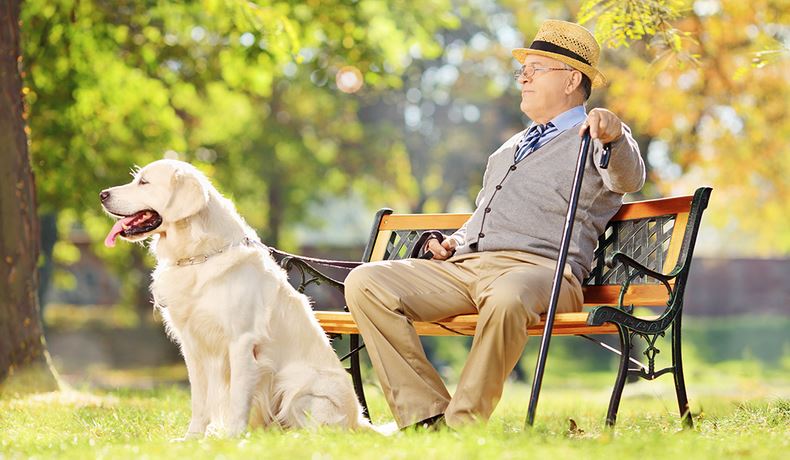 olio cervello anziani