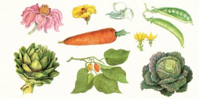 Un atlante gastronomico per scoprire i segreti ...