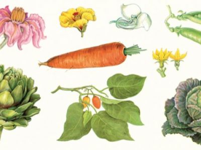 Un atlante gastronomico per scoprire i segreti dell’orto