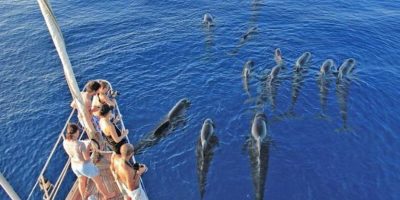 La Liguria lancia una nuova professione: avvist...