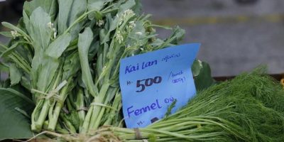 Biologico: 63 italiani su cento disposti a spen...