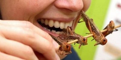 Chi ama mangiare sushi non disdegnerà grilli e ...