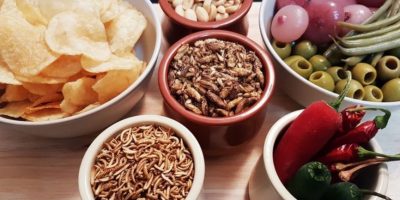 Giovane e colto: è l’identikit del mangia...