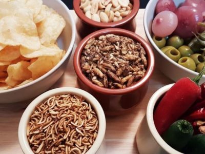 Giovane e colto: è l’identikit del mangiatore di insetti