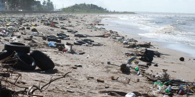 Successo per il progetto pilota di raccolta dei...