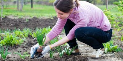 Con i primi caldi, torna l’orto-mania per...