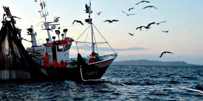 Il riscaldamento degli oceani mette a repentagl...