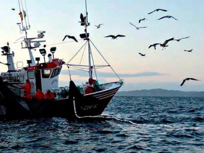 Il riscaldamento degli oceani mette a repentaglio la pesca sostenibile