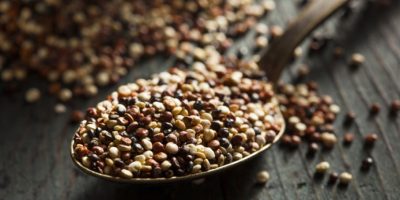 La quinoa pronta a diventare un prodotto “...