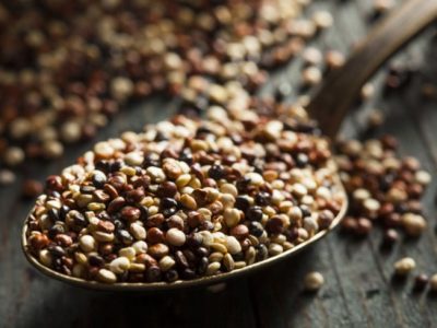 La quinoa pronta a diventare un prodotto “made in Italy”