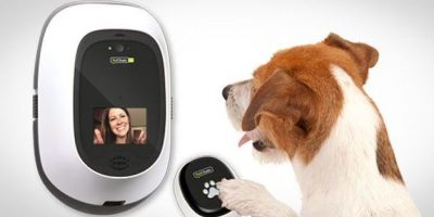 Robot anti-solitudine e ninnoli hi-tech per can...