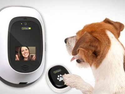 Robot anti-solitudine e ninnoli hi-tech per cani e gatti: pro e contro